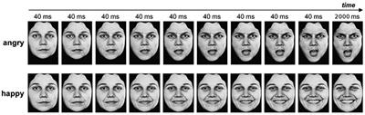Evidence of Rapid Modulation by Social Information of Subjective, Physiological, and Neural Responses to Emotional Expressions